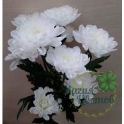 Кустовая белая