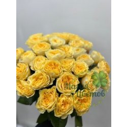 Роза 60 см Батер кап (Россия)