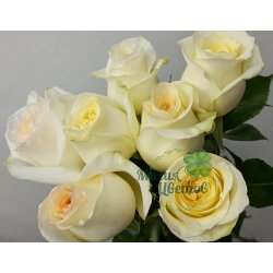 Букет из 7 кремовых роз № 62